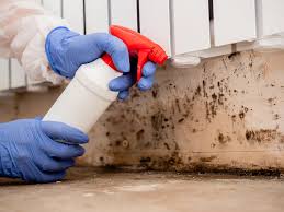 Gas City, IN Mold Removal Services Company